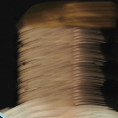 Taller: Sísmica poética